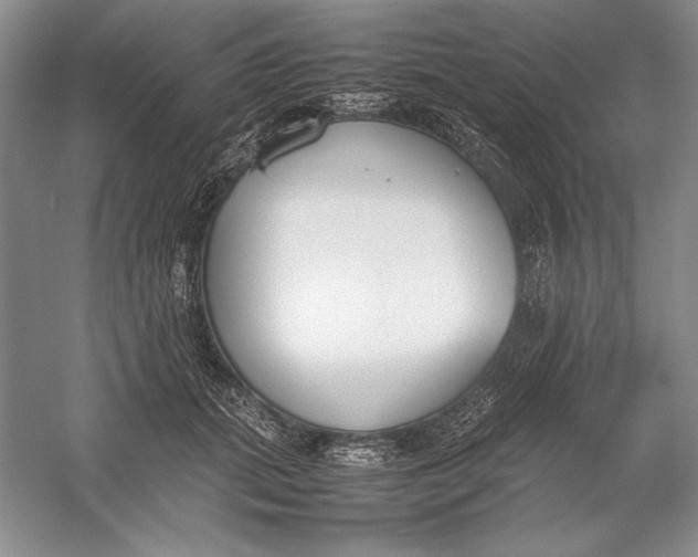 X0000054390655200508191940