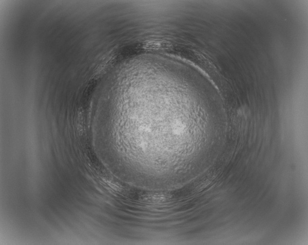 X0000054390659200508191940