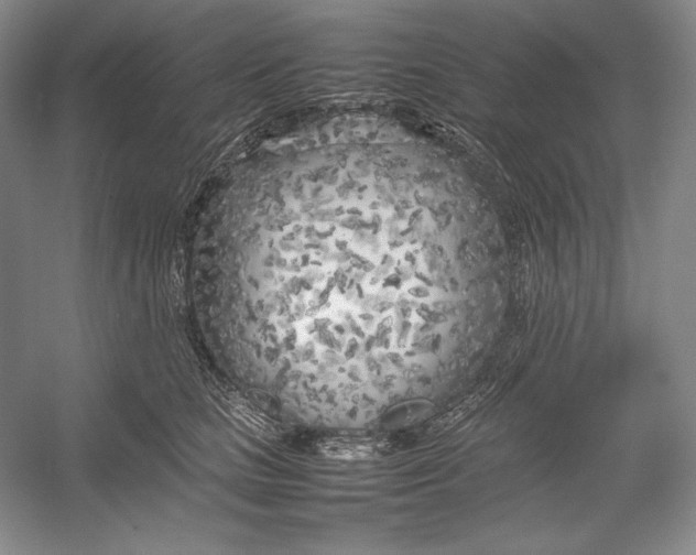 X0000054390661200508191940