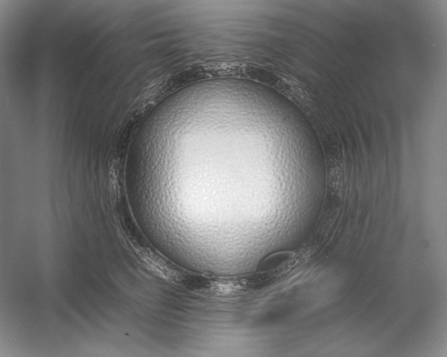 X0000054390662200508191940