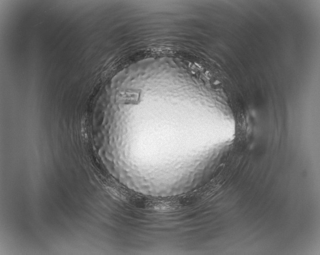 X0000054390663200508191940