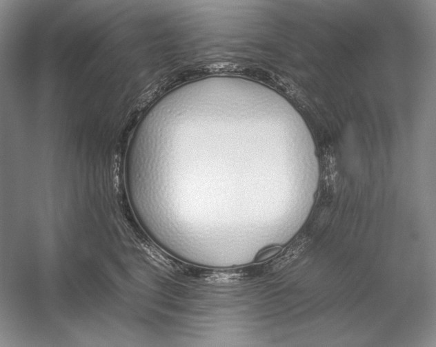 X0000054390664200508191940