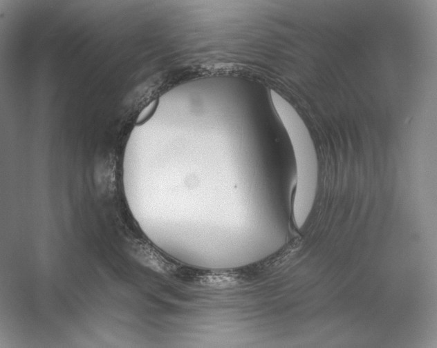 X0000054390668200508191940