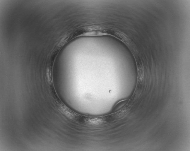 X0000054390669200508191940