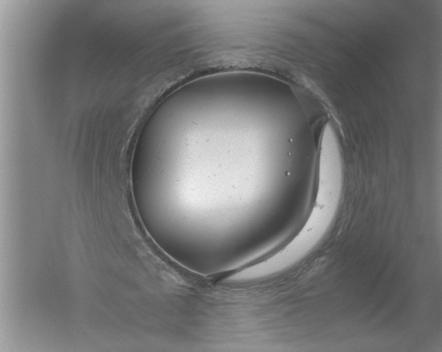 X0000054390673200508191939