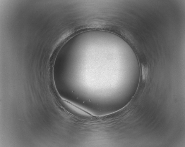 X0000054390675200508191939