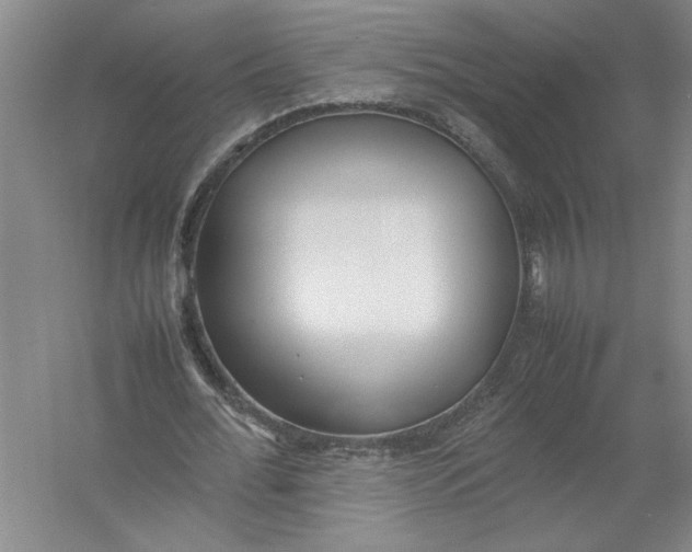 X0000054390676200508191939