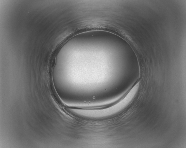 X0000054390677200508191939