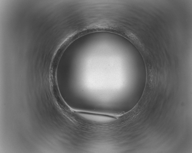 X0000054390680200508191939
