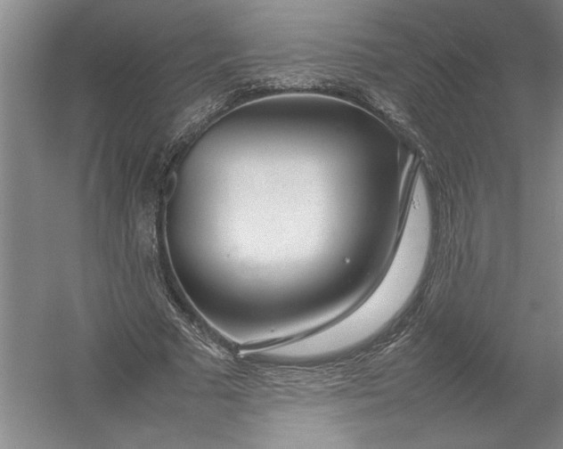 X0000054390681200508191939