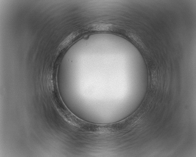 X0000054390682200508191939