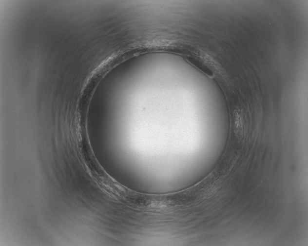 X0000054390684200508191939