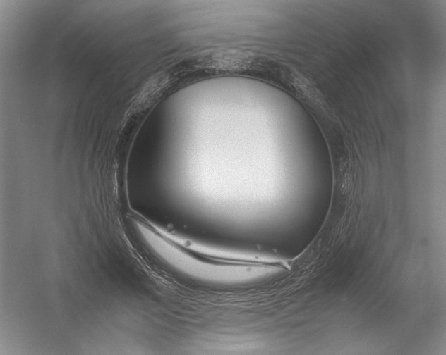 X0000054390685200508191939
