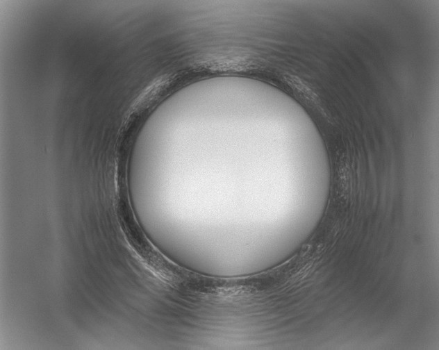 X0000054390686200508191939