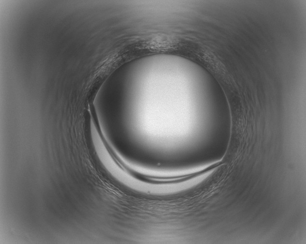 X0000054390689200508191939