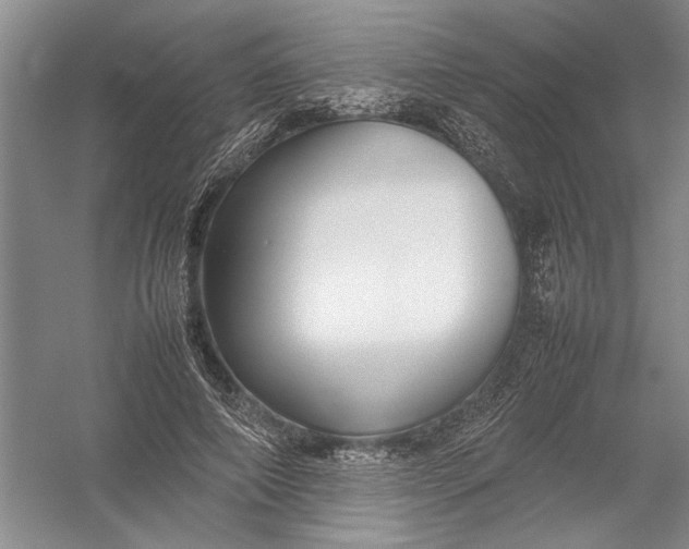 X0000054390690200508191939