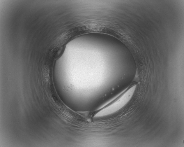 X0000054390693200508191939