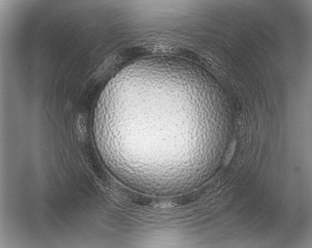 X0000054390695200508191939