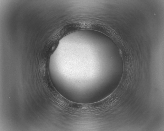 X0000054390697200508191939