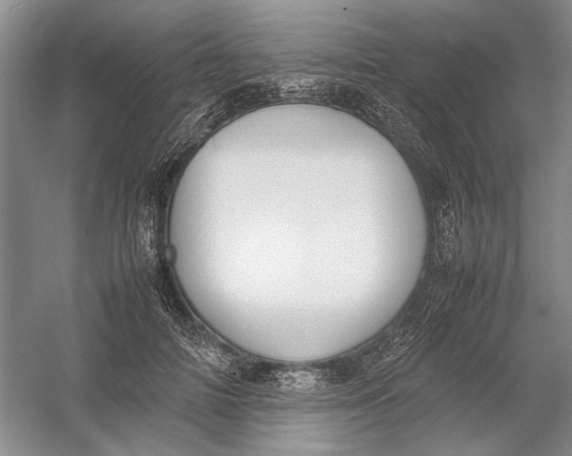 X0000054390698200508191939