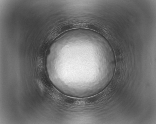 X0000054390699200508191939