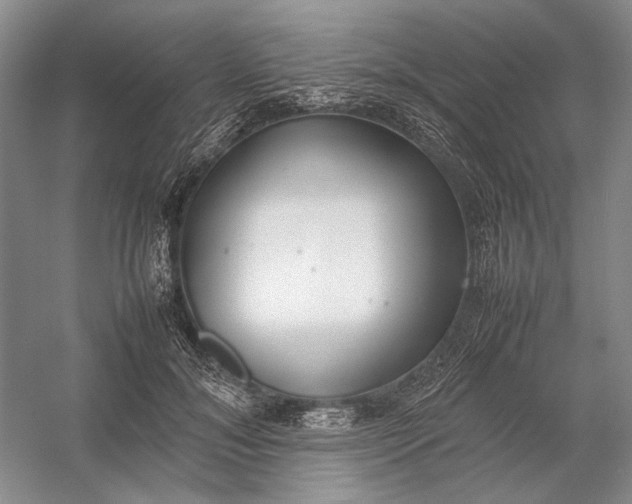 X0000054390700200508191939