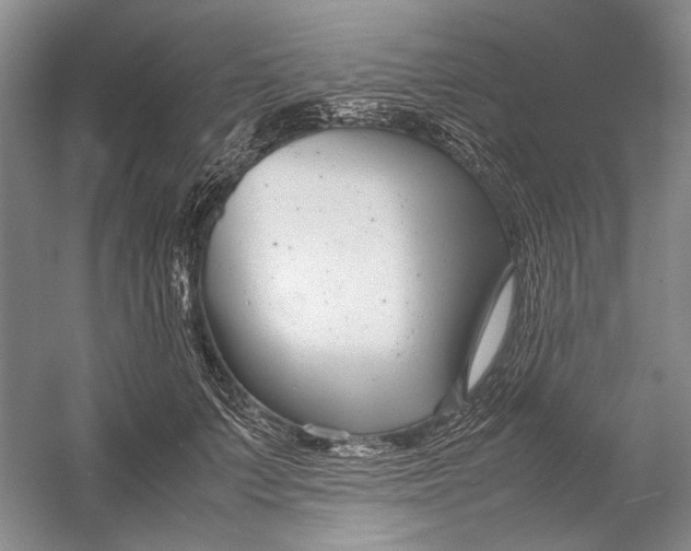 X0000054390703200508191939