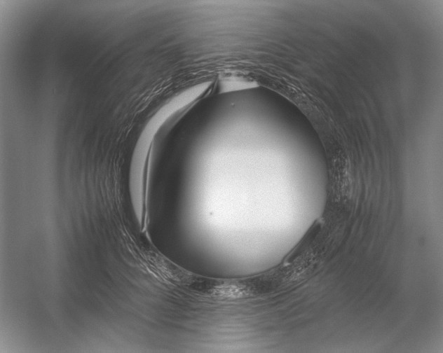 X0000054390704200508191939