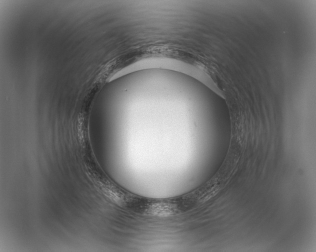 X0000054390708200508191939