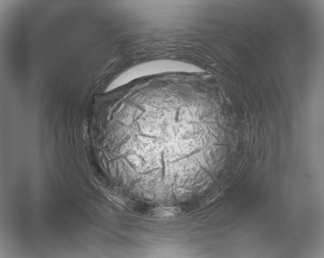X0000054390711200508191939