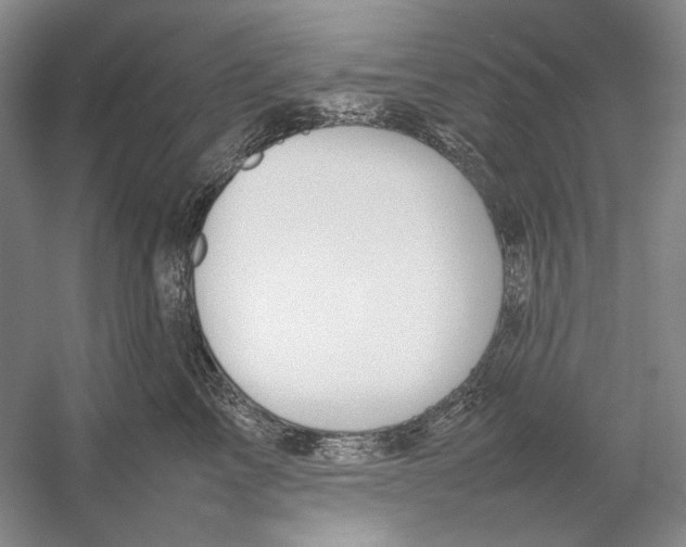 X0000054390713200508191939