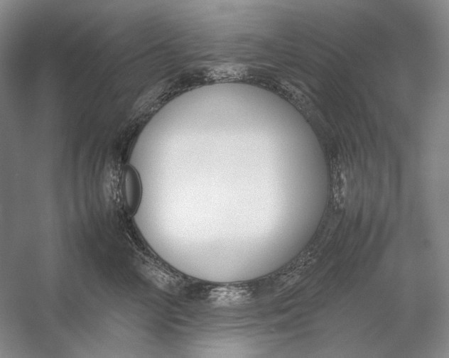 X0000054390714200508191939