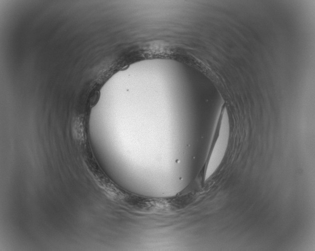 X0000054390715200508191939