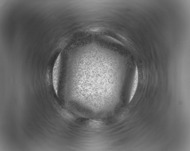 X0000054390718200508191939