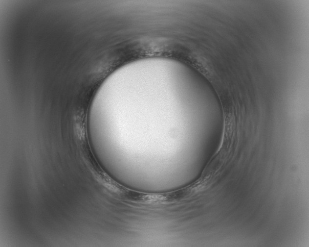 X0000054390719200508191939