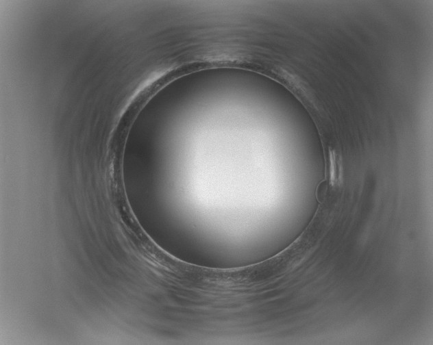 X0000054390723200508191938