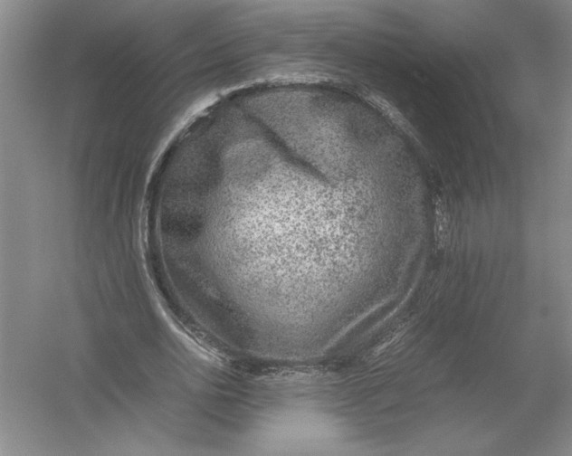 X0000054390726200508191938