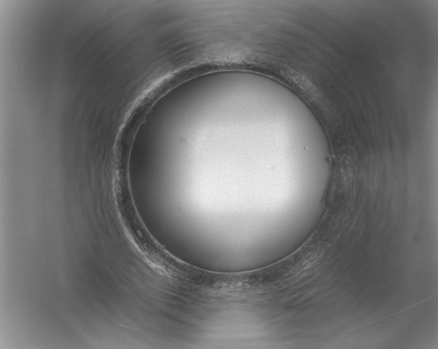 X0000054390728200508191938