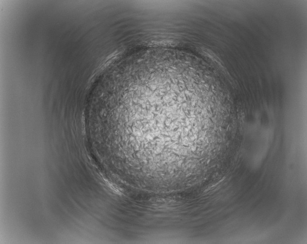 X0000054390729200508191938
