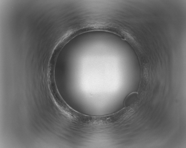 X0000054390730200508191938