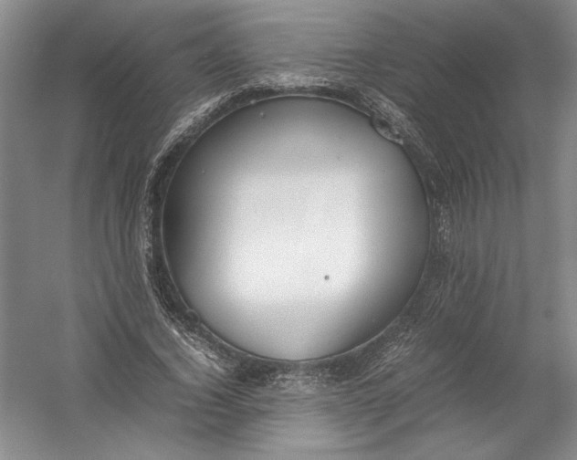 X0000054390732200508191938