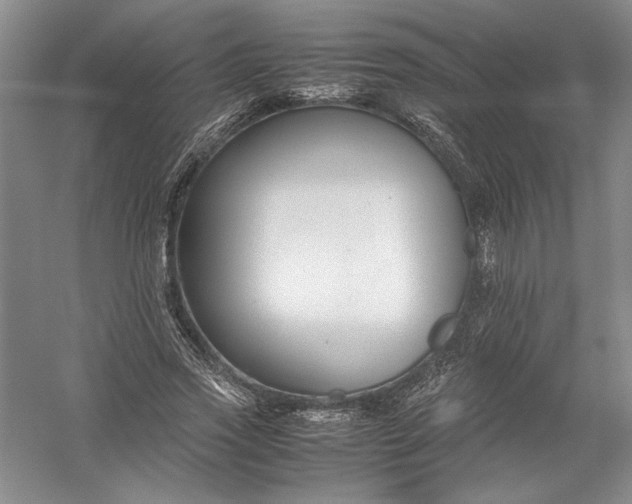 X0000054390733200508191938