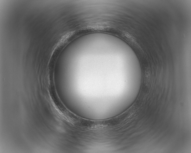 X0000054390734200508191938