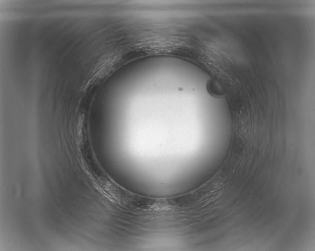 X0000054390742200508191938