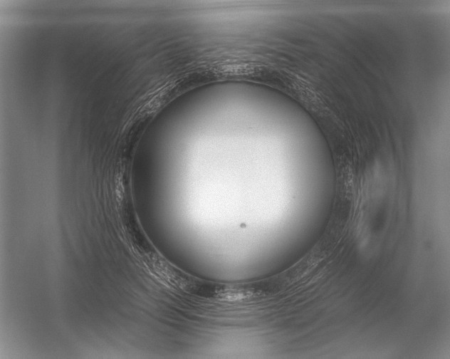 X0000054390746200508191938