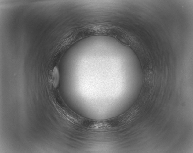 X0000054390752200508191938