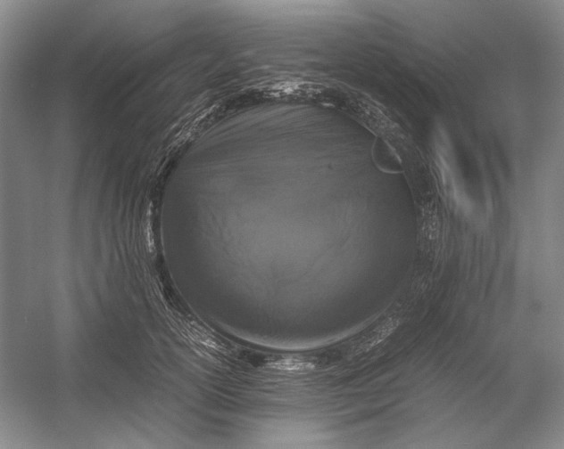 X0000054390754200508191938