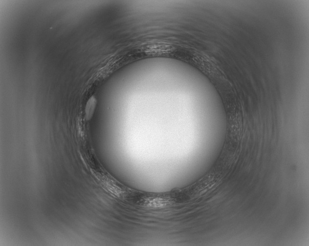X0000054390755200508191938