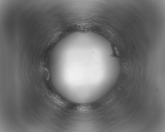 X0000054390756200508191938