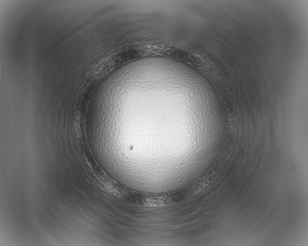 X0000054390757200508191938